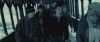 spot01_odf_potterish__116.jpg