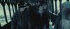 spot01_odf_potterish__117.jpg