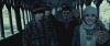 spot01_odf_potterish__124.jpg