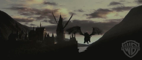 spot02_odf_potterish__024.jpg