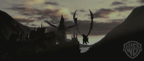 spot02_odf_potterish__025.jpg
