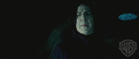 spot02_odf_potterish__065.jpg