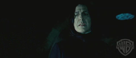 spot02_odf_potterish__067.jpg
