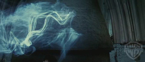 spot02_odf_potterish__076.jpg