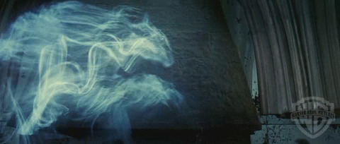 spot02_odf_potterish__077.jpg spot02_odf_potterish__077.jpg