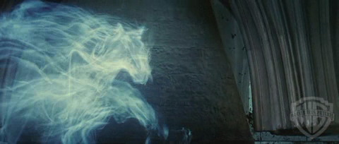 spot02_odf_potterish__078.jpg