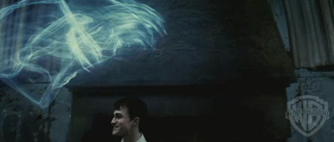 spot02_odf_potterish__07_.jpg