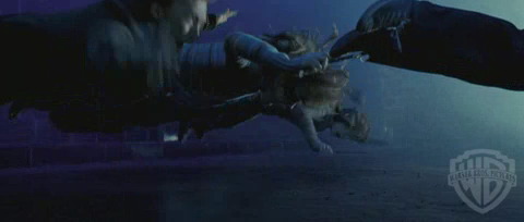 spot02_odf_potterish__11_.jpg spot02_odf_potterish__11_.jpg