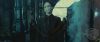 spot02_odf_potterish__006.jpg