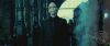 spot02_odf_potterish__007.jpg