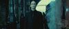 spot02_odf_potterish__010.jpg