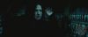 spot02_odf_potterish__046.jpg