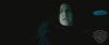 spot02_odf_potterish__066.jpg