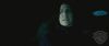 spot02_odf_potterish__067.jpg