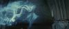 spot02_odf_potterish__076.jpg