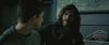 spot02_odf_potterish__080.jpg