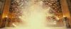 spot02_odf_potterish__10_.jpg