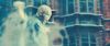 spot02_odf_potterish__114.jpg
