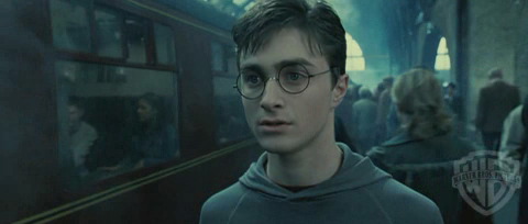 spot0__odf_potterish__011.jpg