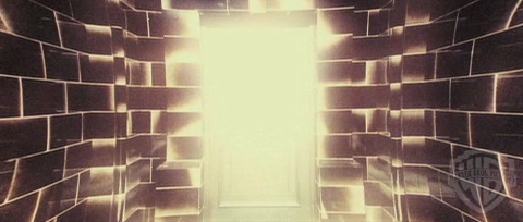 spot0__odf_potterish__018.jpg