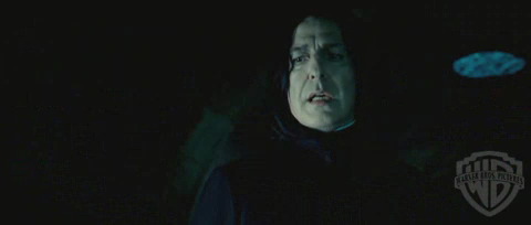 spot0__odf_potterish__045.jpg spot0__odf_potterish__045.jpg