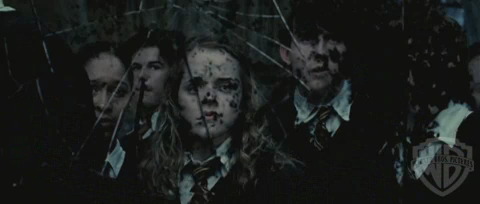 spot0__odf_potterish__046.jpg