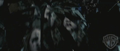 spot0__odf_potterish__048.jpg