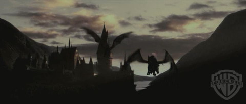 spot0__odf_potterish__054.jpg spot0__odf_potterish__054.jpg