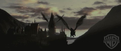 spot0__odf_potterish__055.jpg