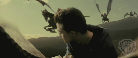 spot0__odf_potterish__060.jpg