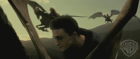 spot0__odf_potterish__061.jpg