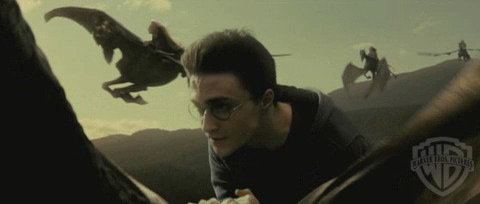 spot0__odf_potterish__062.jpg