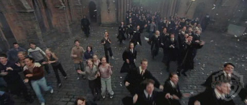 spot0__odf_potterish__068.jpg