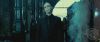 spot0__odf_potterish__006.jpg