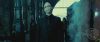 spot0__odf_potterish__007.jpg