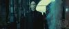 spot0__odf_potterish__00_~0.jpg