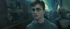 spot0__odf_potterish__010.jpg