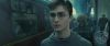 spot0__odf_potterish__012.jpg