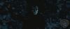 spot0__odf_potterish__020.jpg