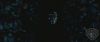 spot0__odf_potterish__021.jpg