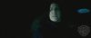 spot0__odf_potterish__044.jpg