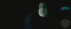 spot0__odf_potterish__045.jpg