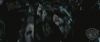 spot0__odf_potterish__048.jpg