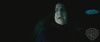 spot0__odf_potterish__04_.jpg