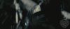 spot0__odf_potterish__04_~0.jpg