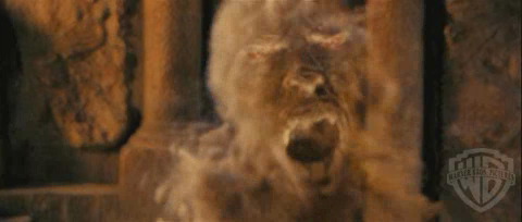 spot04_odf_potterish__016.jpg