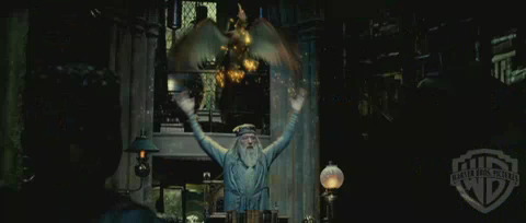 spot04_odf_potterish__054.jpg