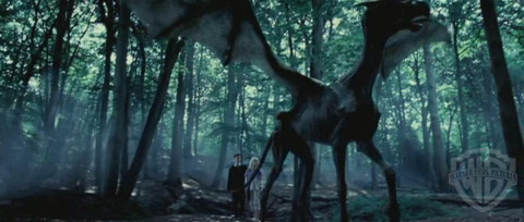 spot04_odf_potterish__087.jpg