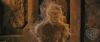 spot04_odf_potterish__014.jpg