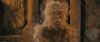 spot04_odf_potterish__015.jpg